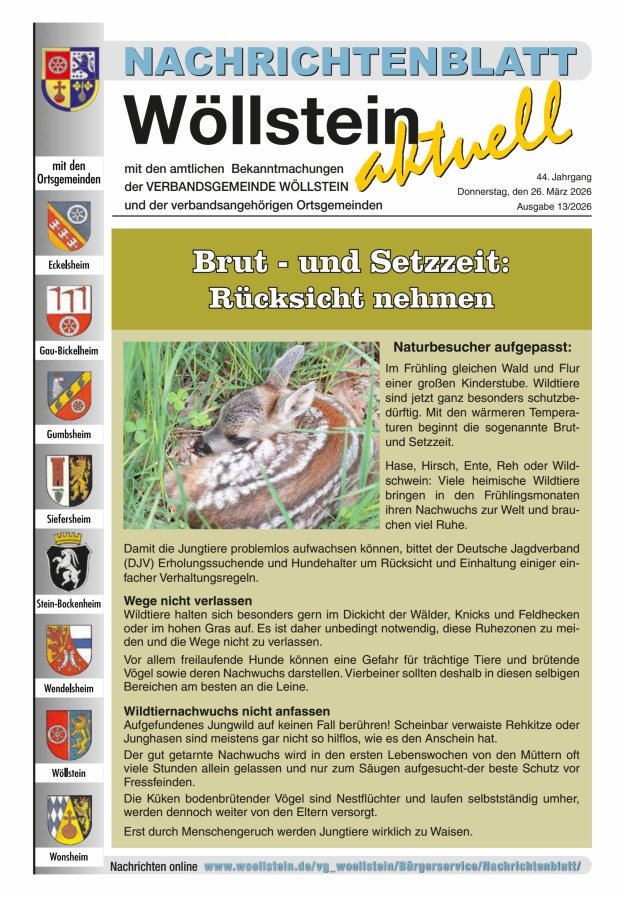 Nachrichtenblatt Wöllstein aktuell Titelblatt 13/2026