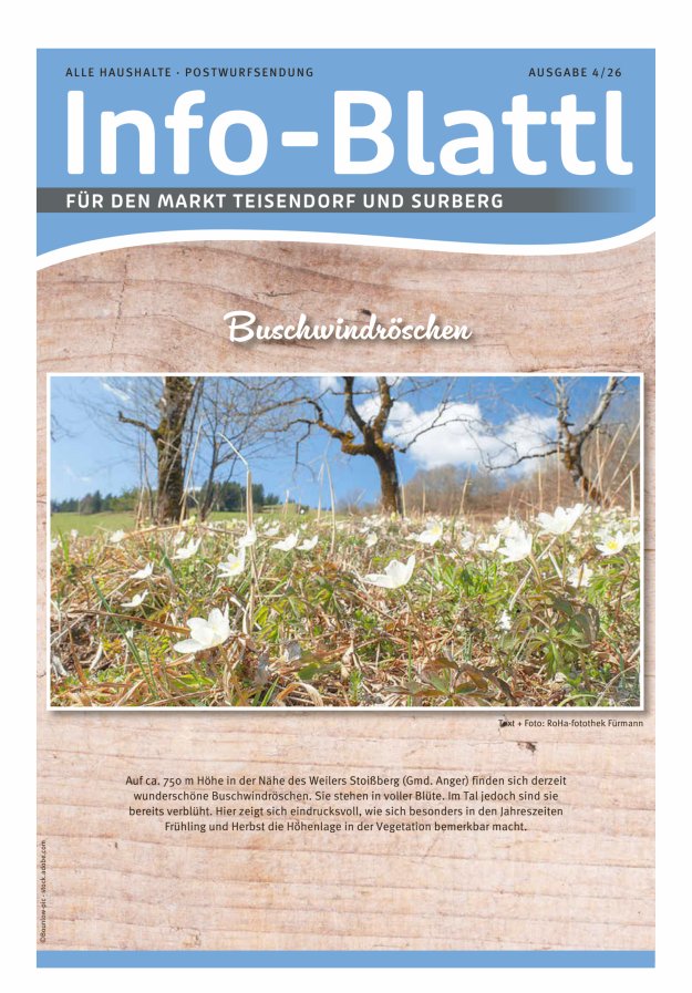 Infoblattl Teisendorf Titelblatt 04/2026
