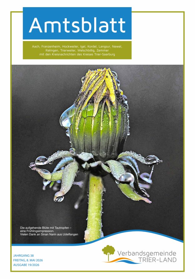 Amtsblatt VG Trier-Land Titelblatt 19/2026
