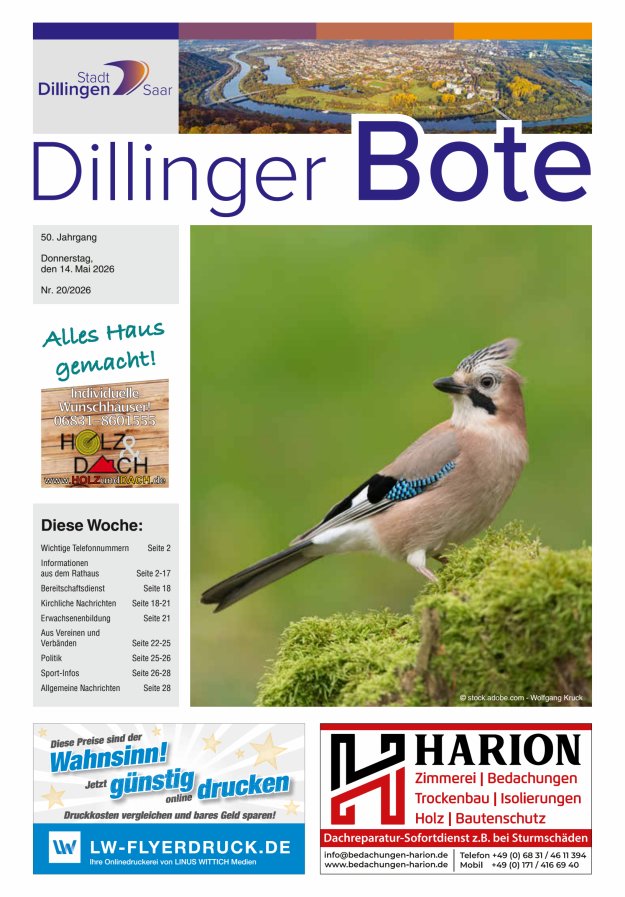Dillinger Bote Titelblatt 20/2026