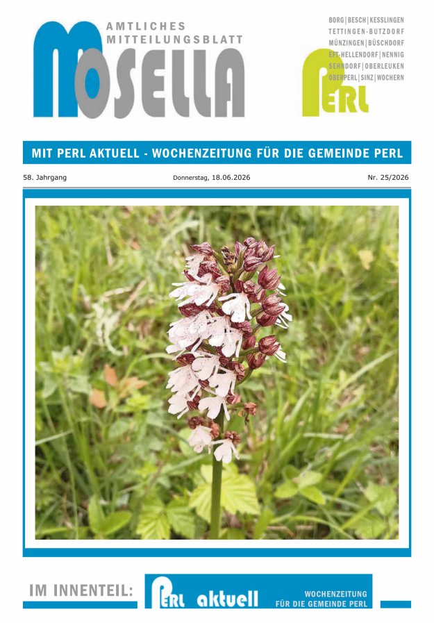 Mosella Perl Titelblatt 25/2026