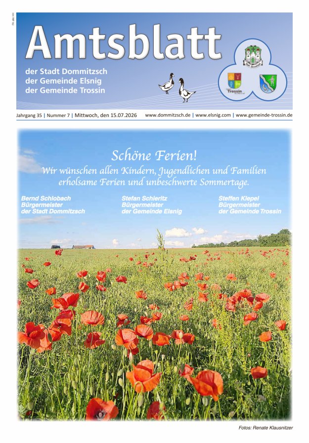Dommitzsch Info - Amtsblatt der Stadt Dommitzsch der Gemeinden Elsnig und Trossin Titelblatt 07/2026