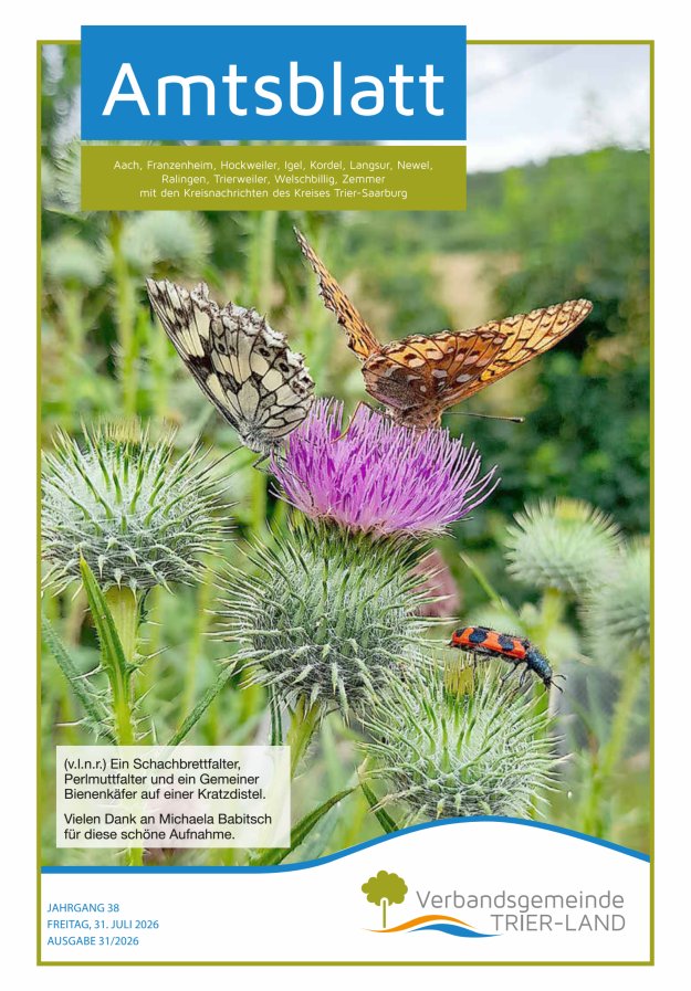 Amtsblatt VG Trier-Land Titelblatt 31/2026