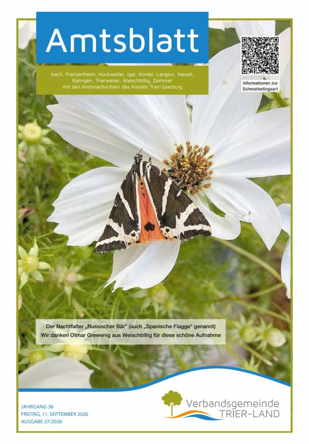 Amtsblatt VG Trier-Land Titelblatt 37/2026