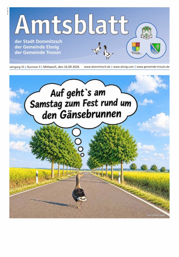 Dommitzsch Info - Amtsblatt der Stadt Dommitzsch der Gemeinden Elsnig und Trossin Titelblatt 09/2026