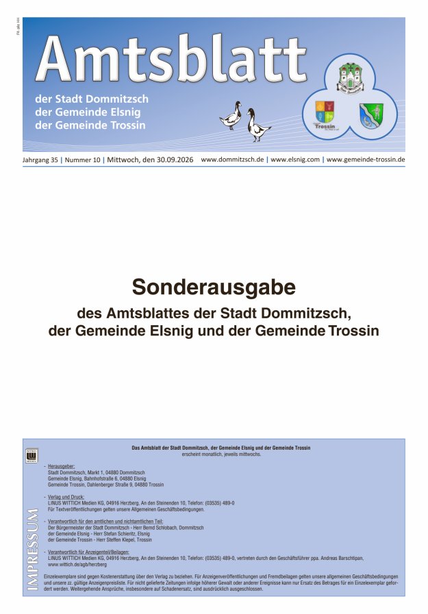 Dommitzsch Info - Amtsblatt der Stadt Dommitzsch der Gemeinden Elsnig und Trossin Titelblatt 10/2026