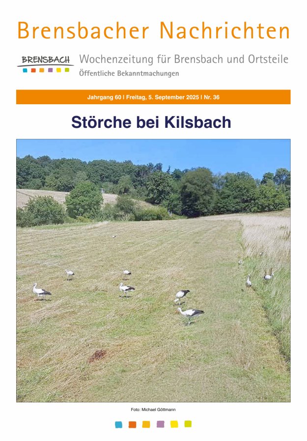 Titelblatt Brensbacher Nachrichten Ausgabe: 21/2024