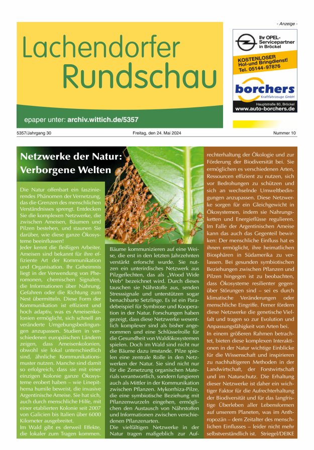 Titelblatt Lachendorfer Rundschau Ausgabe: 08/2024